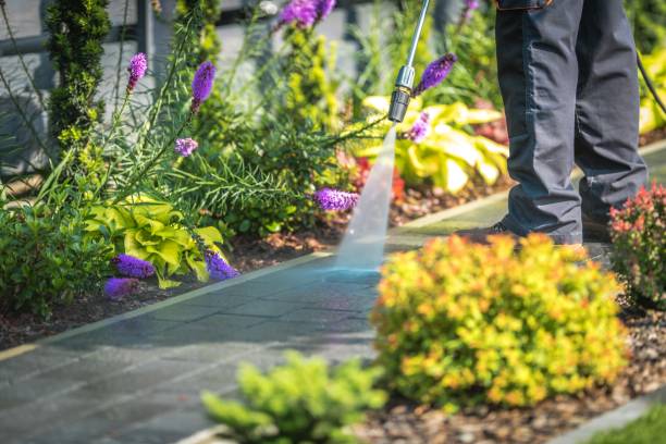  Watertown, FL Pressure Washing Pros